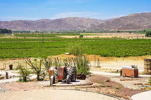 About The Guadalupe Valley About The Guadalupe Valley