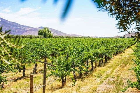 Guadalupe Valley Real Estate Guadalupe Valley Real Estate